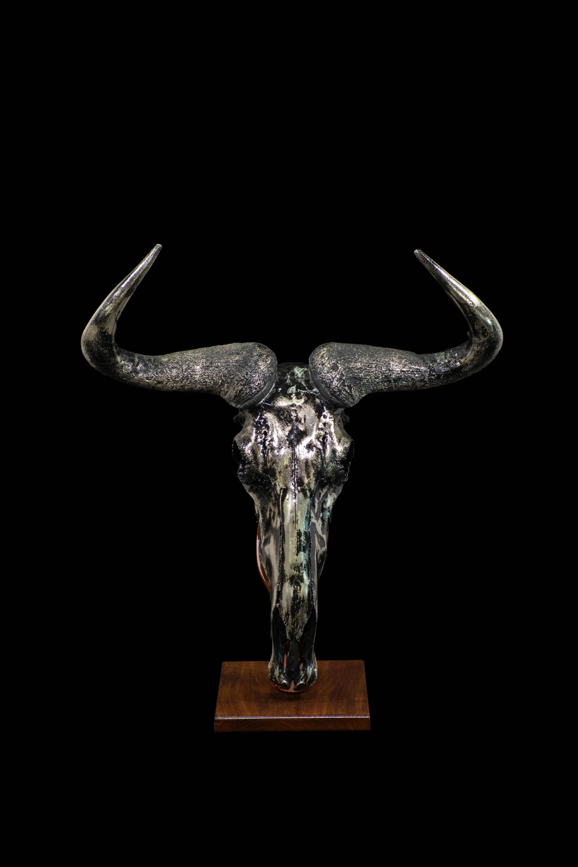Wildebeest Nickel Desktop 1 Skull Mount — Highveld Taxidermists